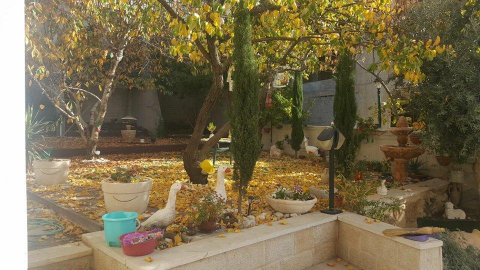 Hermon Accommodation Majdal Shams Exterior photo
