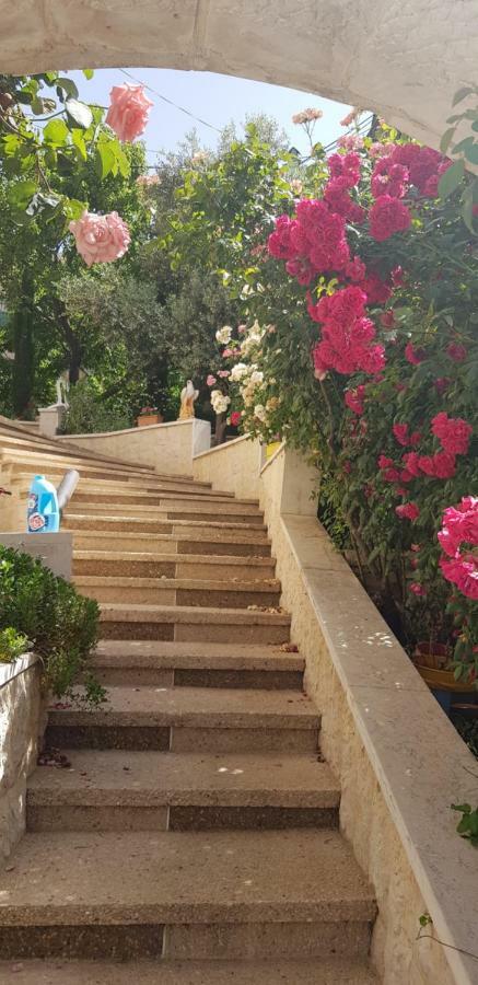 Hermon Accommodation Majdal Shams Exterior photo